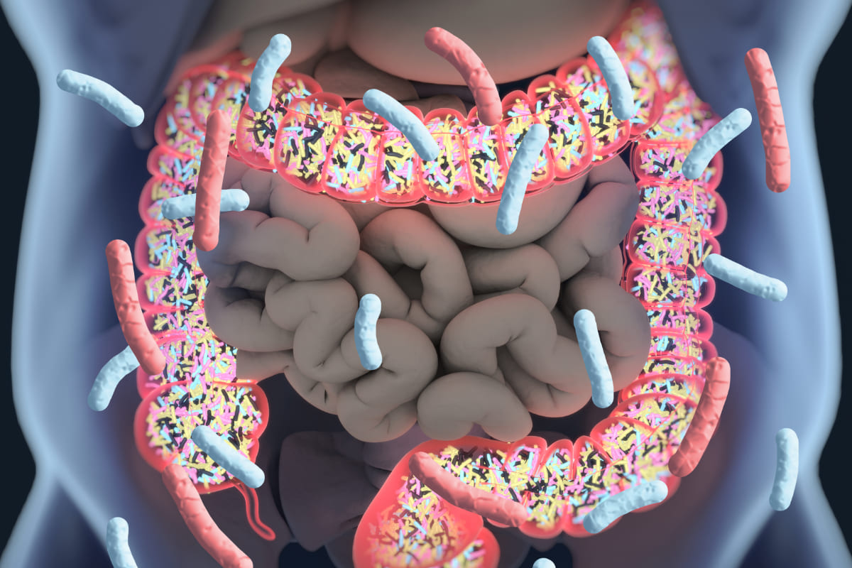 Gut Microbiome Test