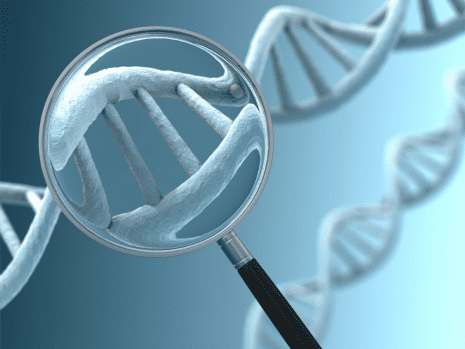 ABOUT GENETIC INVESTIGATION